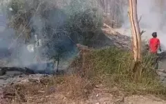مهار آتش‌ سوزی در پارک ملی خجیر