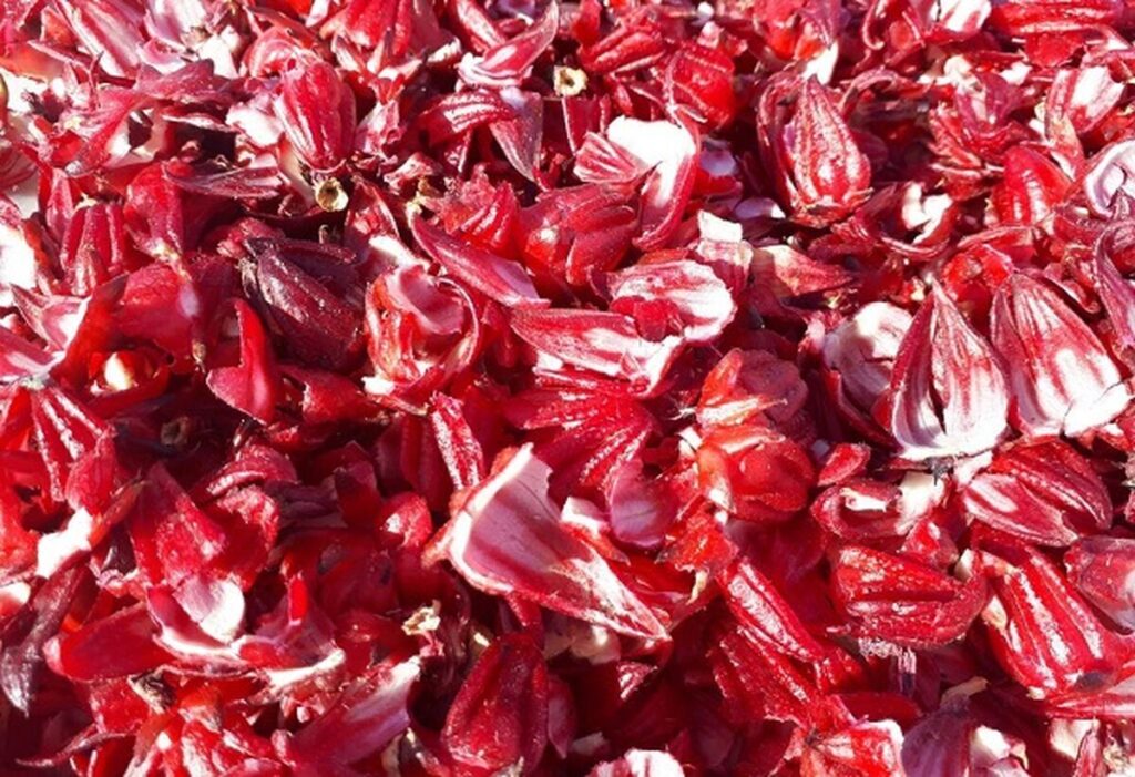 چای ترش دشت آزادگان راهی بازار می‌شود
