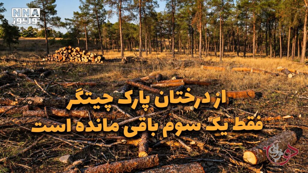 دوفوریتی | از درختان پارک چیتگر فقط یک سوم باقی مانده است