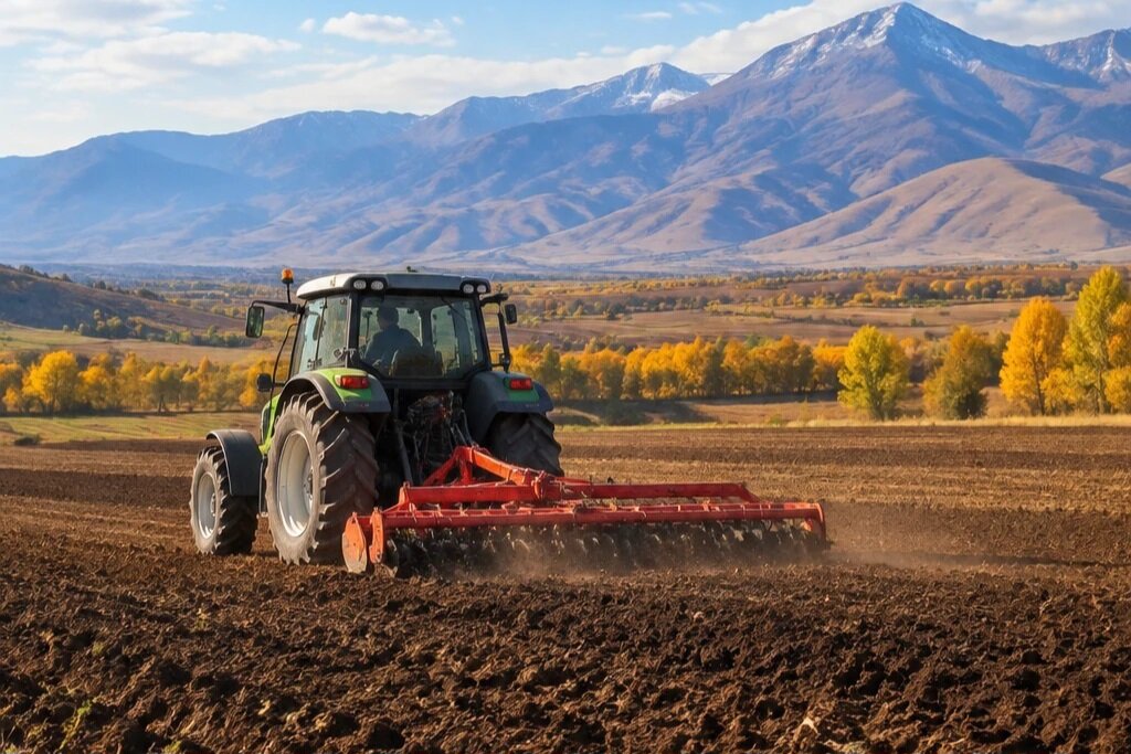 آغاز کشت غلات پاییزه در بیش از ۲۰ هزار هکتار از اراضی فامنین
